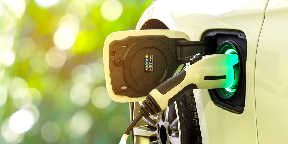 �����̹��� 2